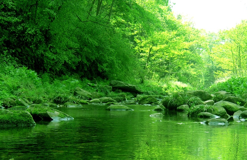 绿水本无忧，因风皱面，青山原不老，为雪白头，啥意思