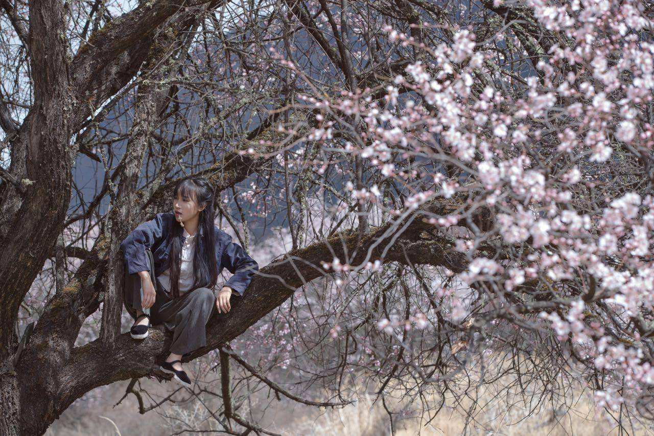 律师称李子柒维权难度较大,也就是说基本上无法维权?