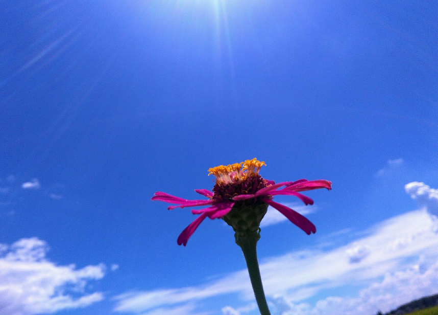 人眼的视觉暂留时间是多少？