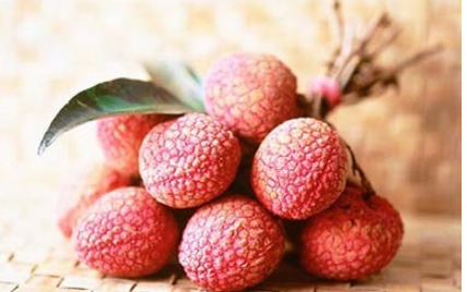 大暑为什么要吃荔枝?