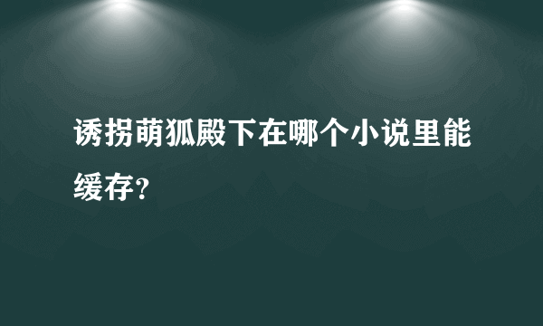 诱拐萌狐殿下在哪个小说里能缓存？