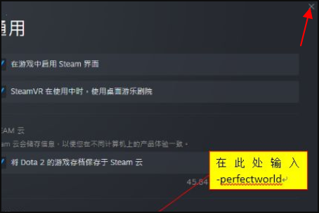 dota2国服启动项是什么?