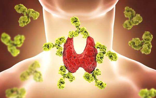 如何预防甲状腺疾病呢?