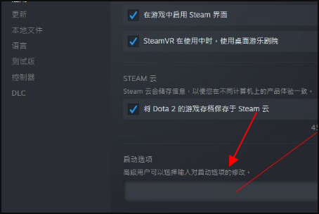 dota2国服启动项是什么?