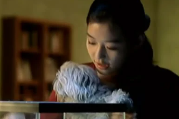 韩国最好看的爱情电影