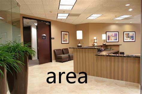 area什么意思中文翻