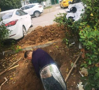 河南一男子竟在小区旁绿化带挖坑葬母,这名男子到底为何这么做?