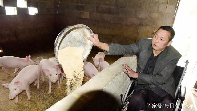 说猪肉价格能跌到4元一斤,是夸张说法,还是真的有科学依据?