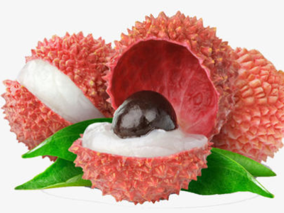 海口农户36年种出辣味荔枝,他是怎么种出来的?