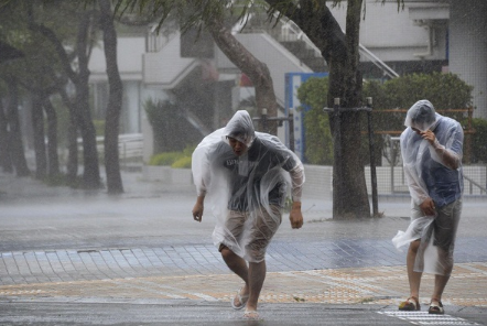 上海气象记者追风现场崩溃,开启“嘶吼”模式,台风的威力有多大?