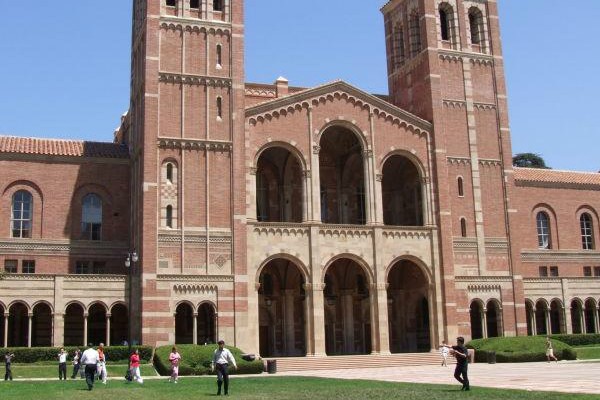 university是什么意思?