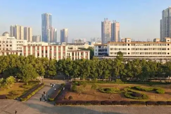 三本大学排行榜