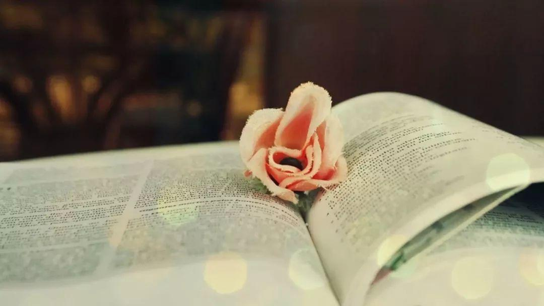 日本一位84岁女高中生毕业,她是如何做到的?