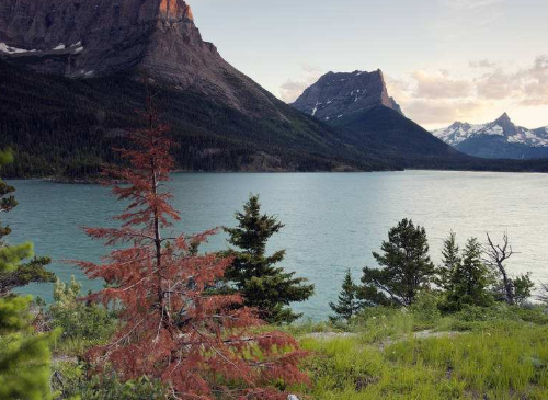 世界上最美的地方都有哪些?