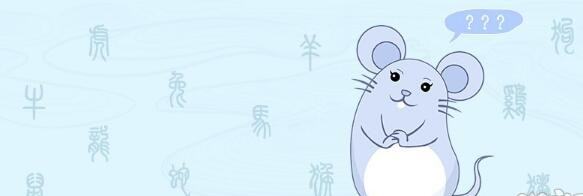 属鼠人性格