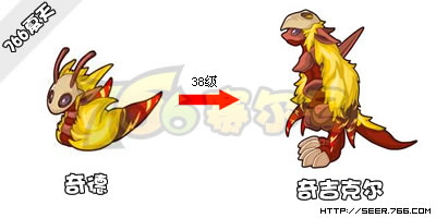 赛尔号命运之轮的全部打法,最好有图片