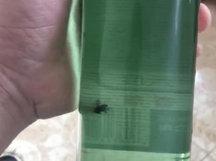 红星二锅头回应酒里泡苍蝇,到底是在甩锅还是另有他因?