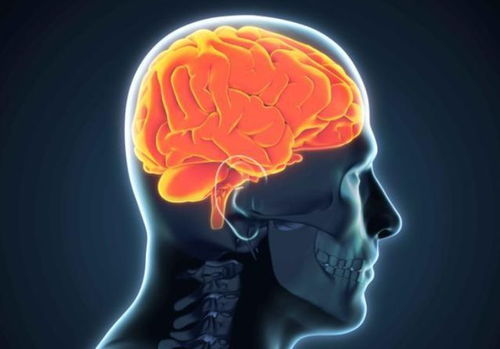 体检查出低密度脂蛋白偏高,这是什么意思?