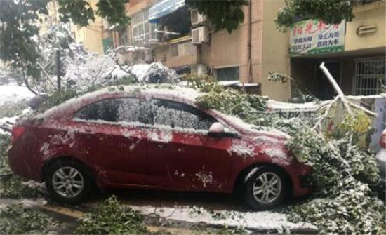 安徽公交站台被雪压垮究竟是怎么回事?