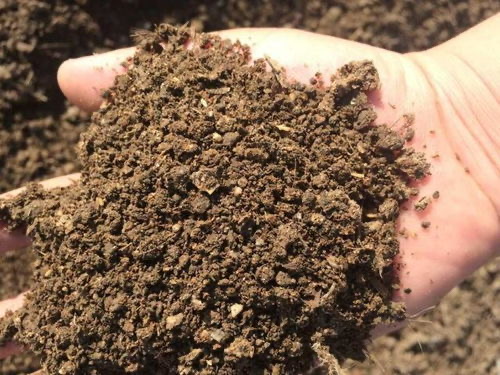 49吨榴莲销毁成有机肥，榴莲变有机肥的原理是什么？