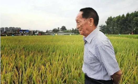 男子侮辱袁老被采取刑事强制措施,这些侮辱袁老的人都是怀着怎样的心态?