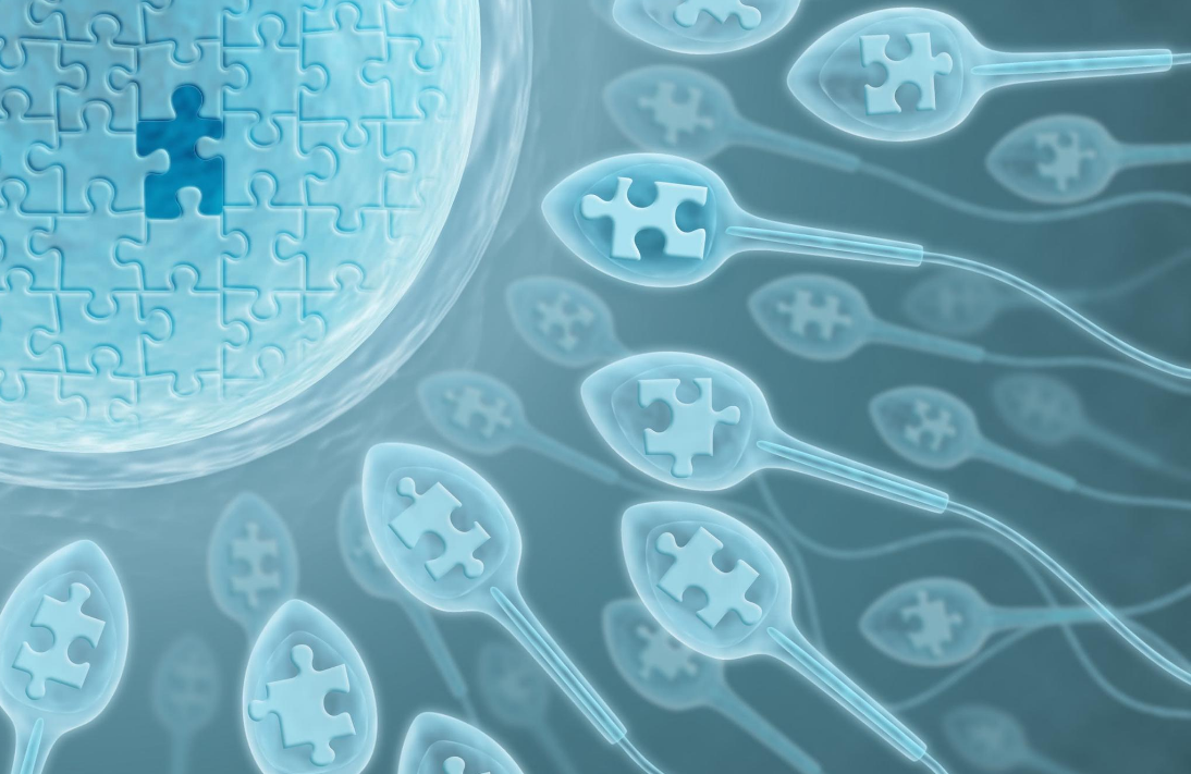 广州富商花百万做的8胞胎试管婴儿,这八个孩子现状如何了?