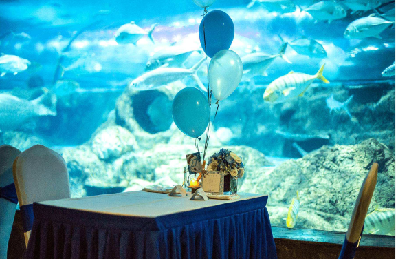 魏晨成功求婚女友,比一见钟情更难的是一生钟情吗?