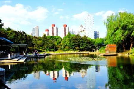 上海徐汇区有什么好玩的地方?