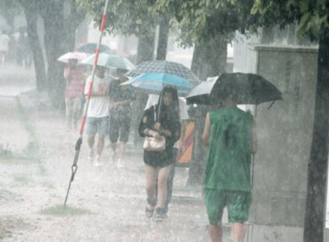 上海气象记者追风现场崩溃,开启“嘶吼”模式,台风的威力有多大?