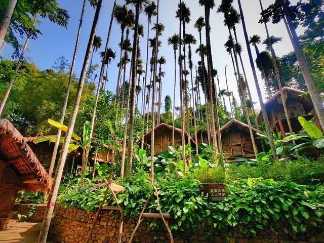 春节去三亚槟榔谷玩,槟榔谷好玩吗?地方特色是什么?