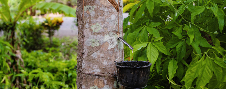高分子材料有哪些常见的高分子材料有哪些