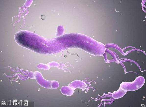 幽门螺杆菌一定会传染吗