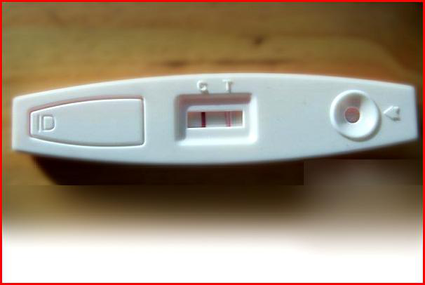 验孕棒一条深一条浅是什么意思 一深一浅未必真的有