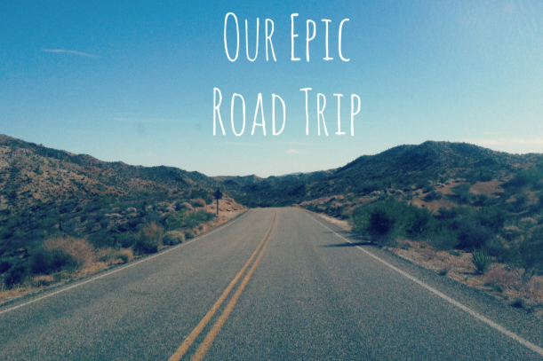 trip是什么意思？