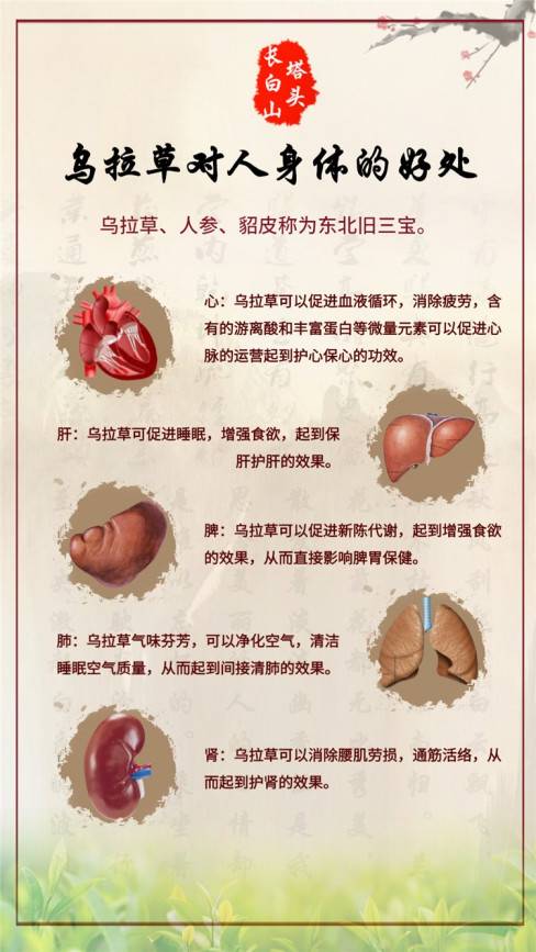 护颈枕有什么作用