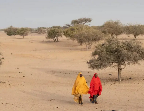 非洲有多少人口呀？