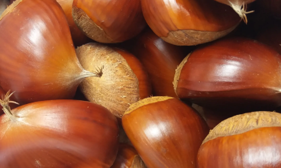 丹东的特产有哪些?