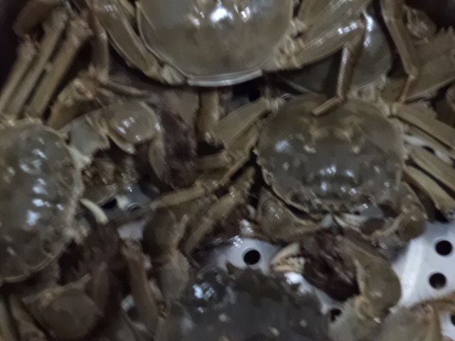 河蟹蒸多久最佳时间?