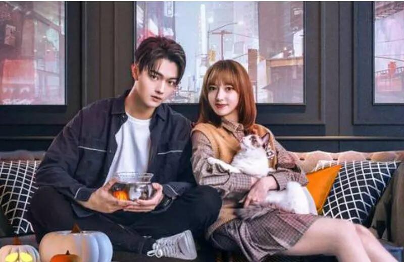 你微笑时很美：陆思诚吃了多少次醋？