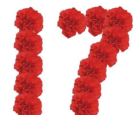 17代表什么意思