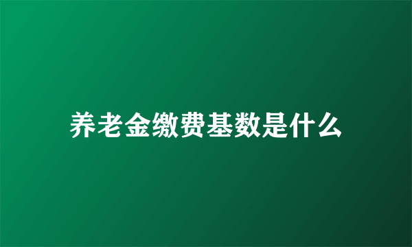 养老金缴费基数是什么