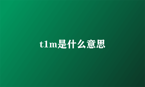 t1m是什么意思