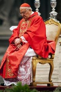 什么叫红衣主教