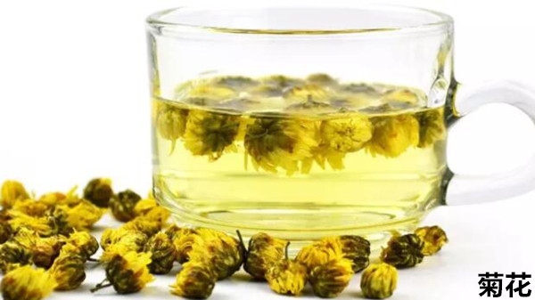 菊花泡水喝有什么功效？