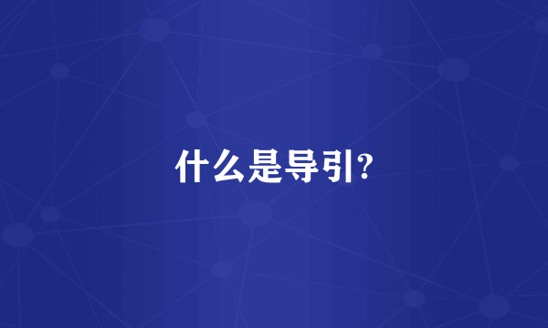 什么是导引?