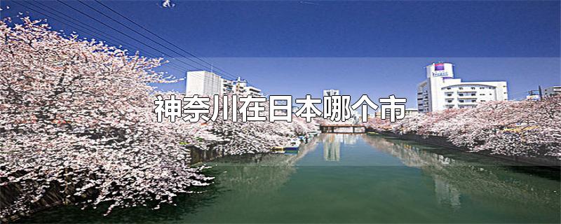 神奈川在日本哪个市