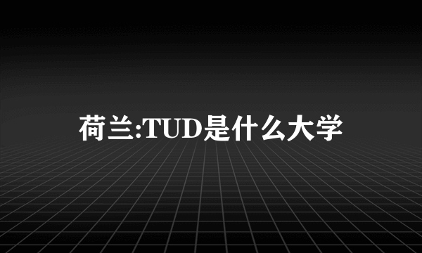 荷兰:TUD是什么大学