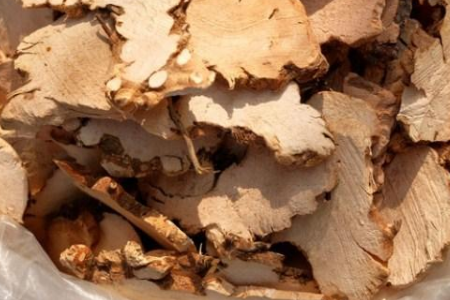 土茯苓的功效与作用是什么？