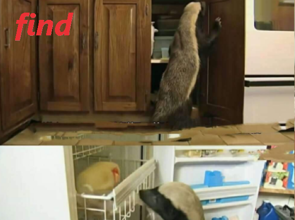 find的find的用法归纳