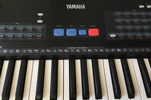 电钢琴和钢琴的区别是什么?